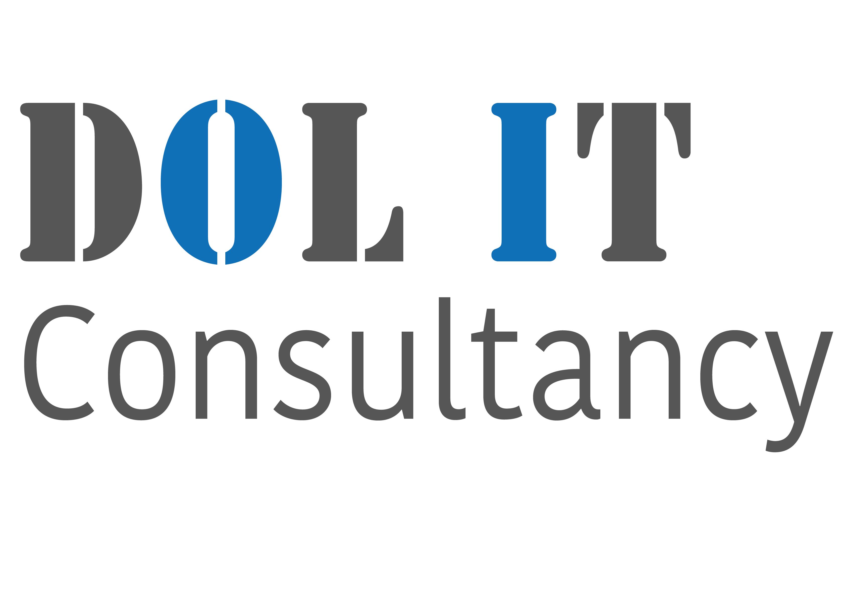 Dol IT Consultancy logo